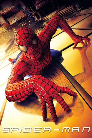 Spider-Man (2002) Hindi Dual Audio 720p BluRay [820MB] - Movierulz
